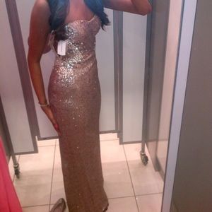 Floor Length Sparkly Gown